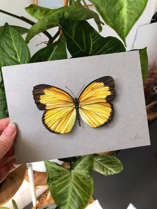 Yellow on Grey - Butterfly - 7 x 5"