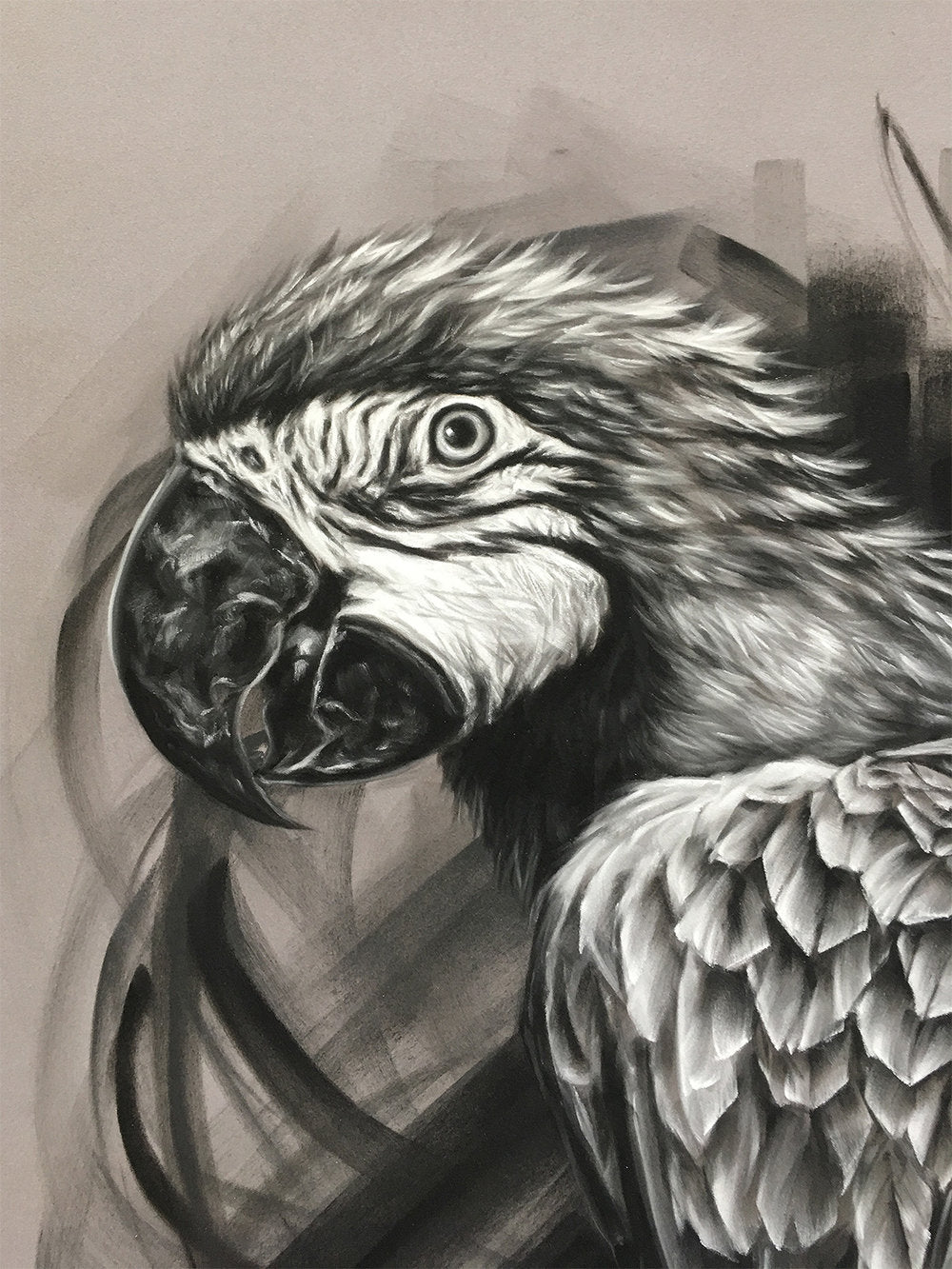 Macaw - 20 x 28"