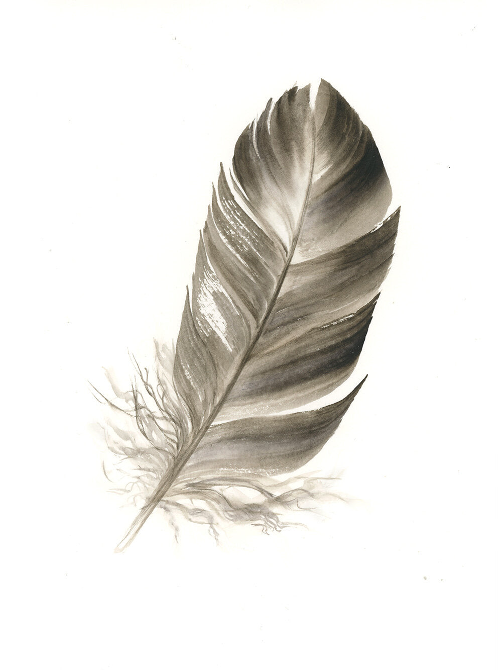 Duck Feather #1 - 6 x 8"