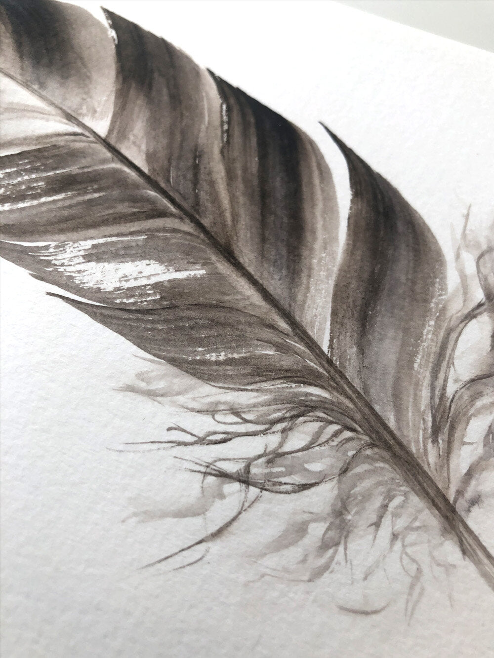 Duck Feather #1 - 6 x 8"