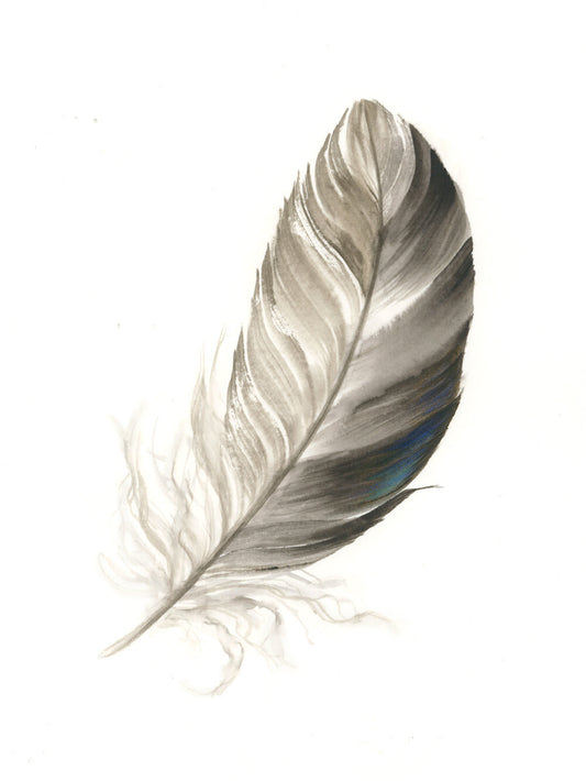 Duck Feather #3