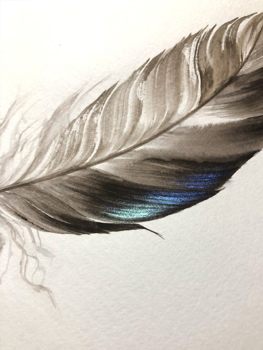 Duck Feather #3