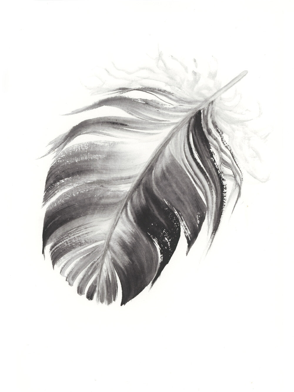 Dark Grey Feather #2 - 6 x 8"