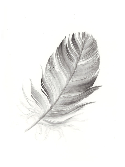 Dark Grey Feather #3 - 6 x 8"