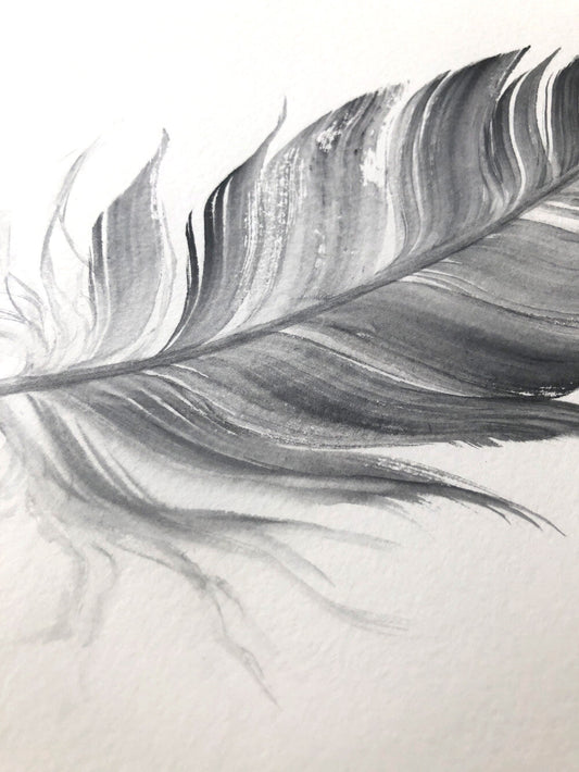 Dark Grey Feather #3 - 6 x 8"
