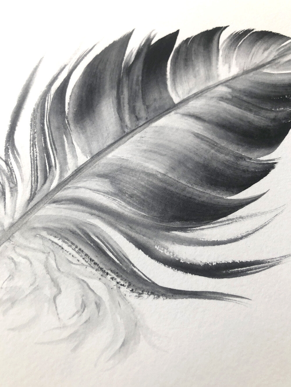 Dark Grey Feather #4 - 6 x 8"