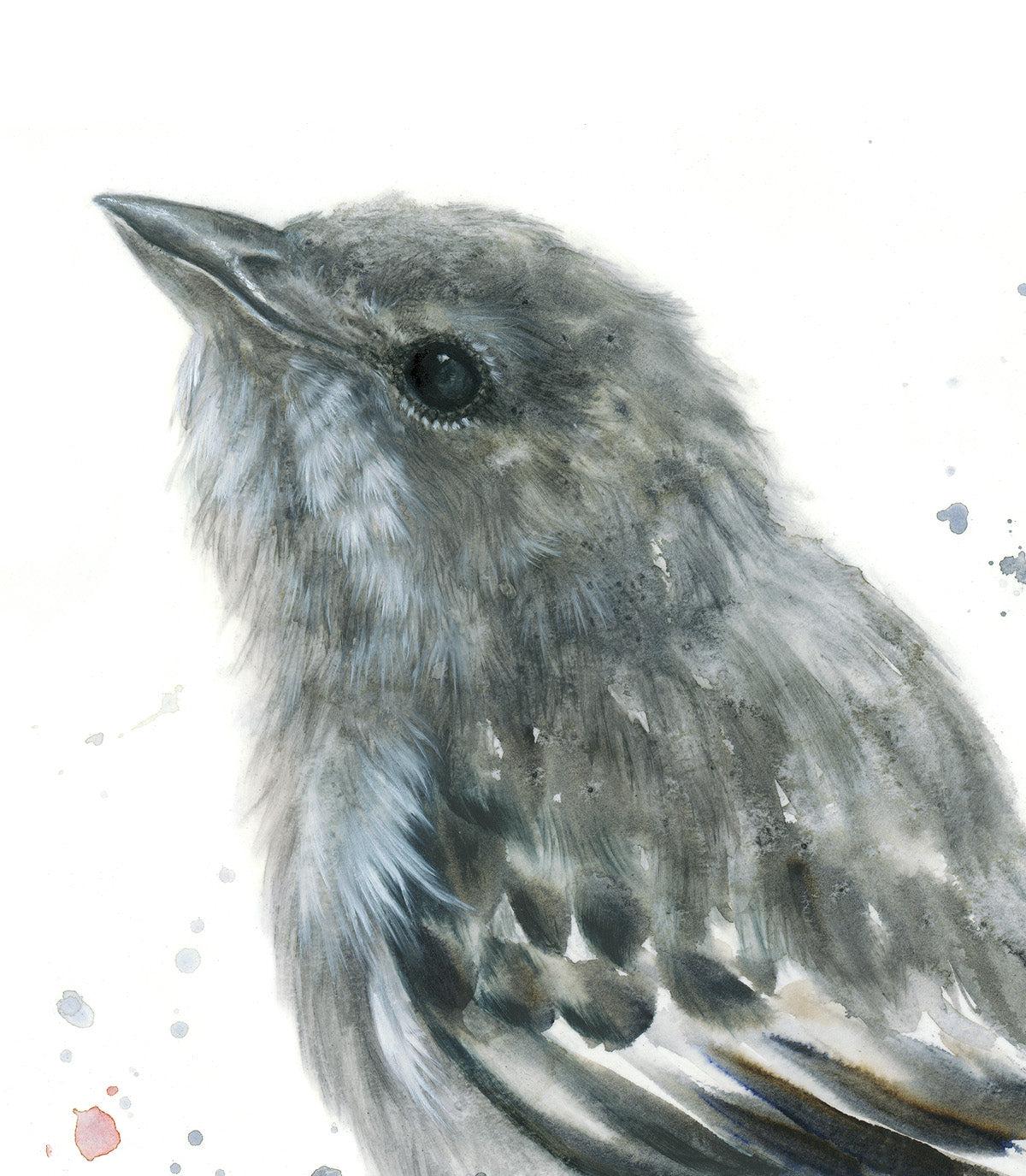 Mistletoebird (Female) - 16 x 20"