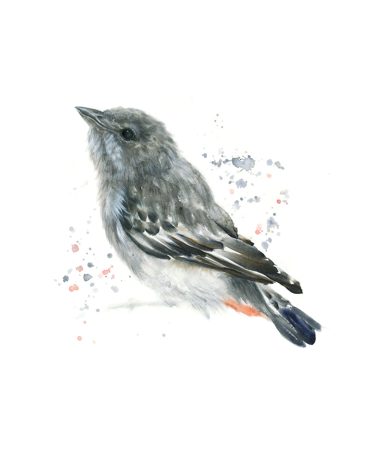 Mistletoebird (Female) - 16 x 20"