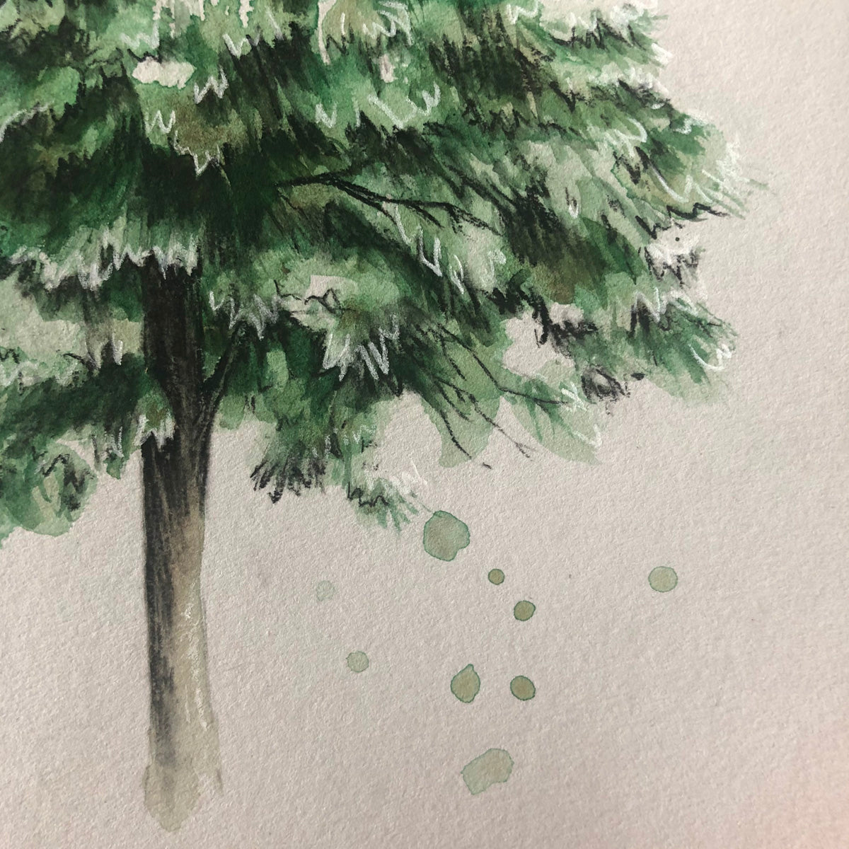 Tree 19/100