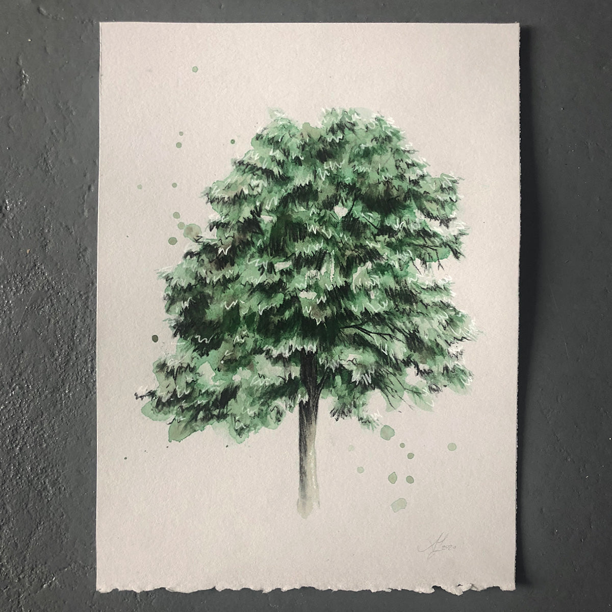 Tree 19/100