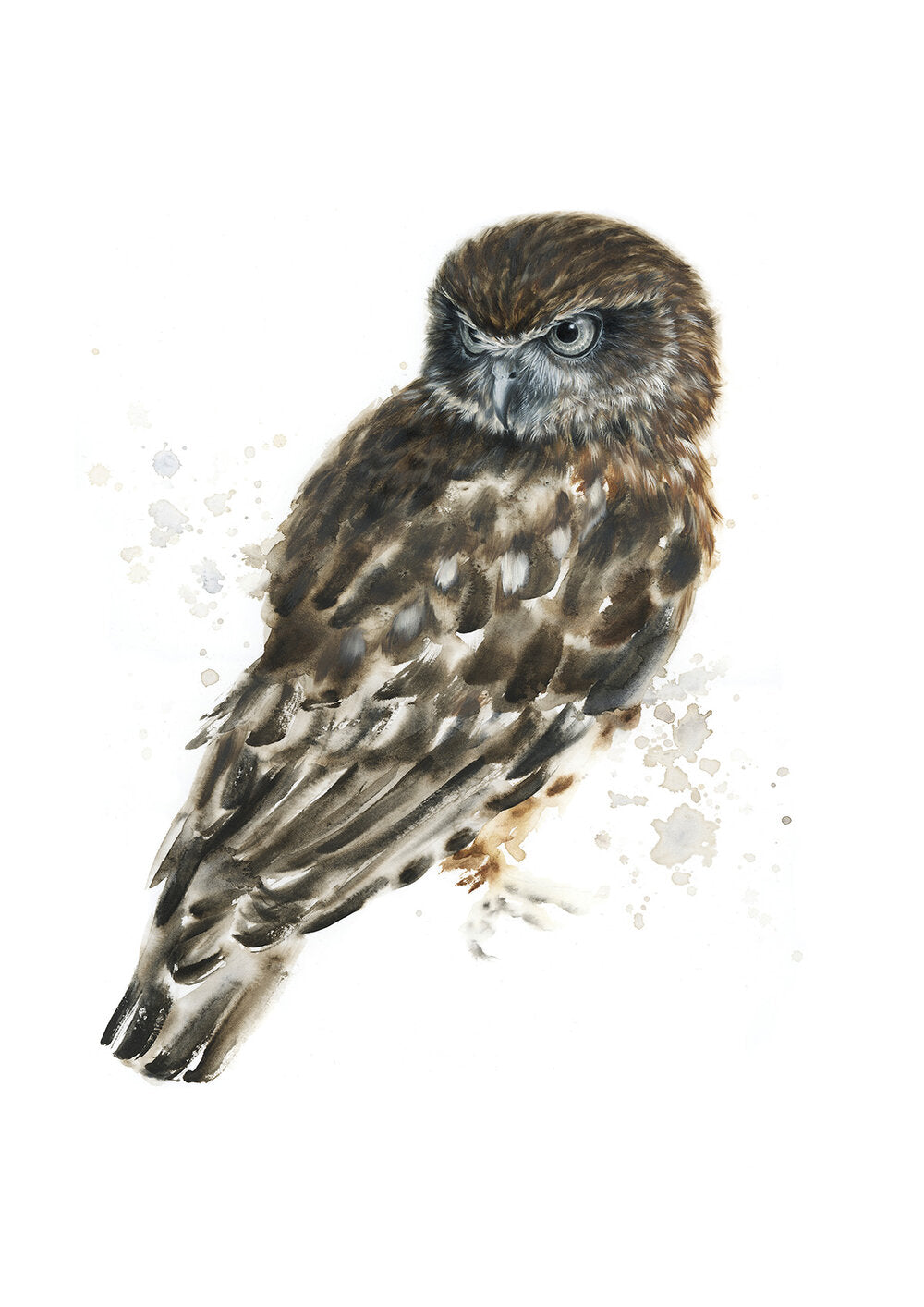 Boobook Owl #1 - Limited Edition Print