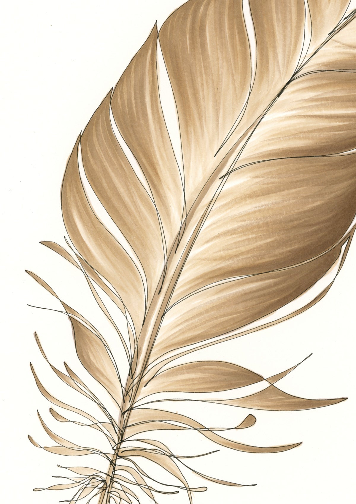 Feather Lines #9 - 12 x 16"