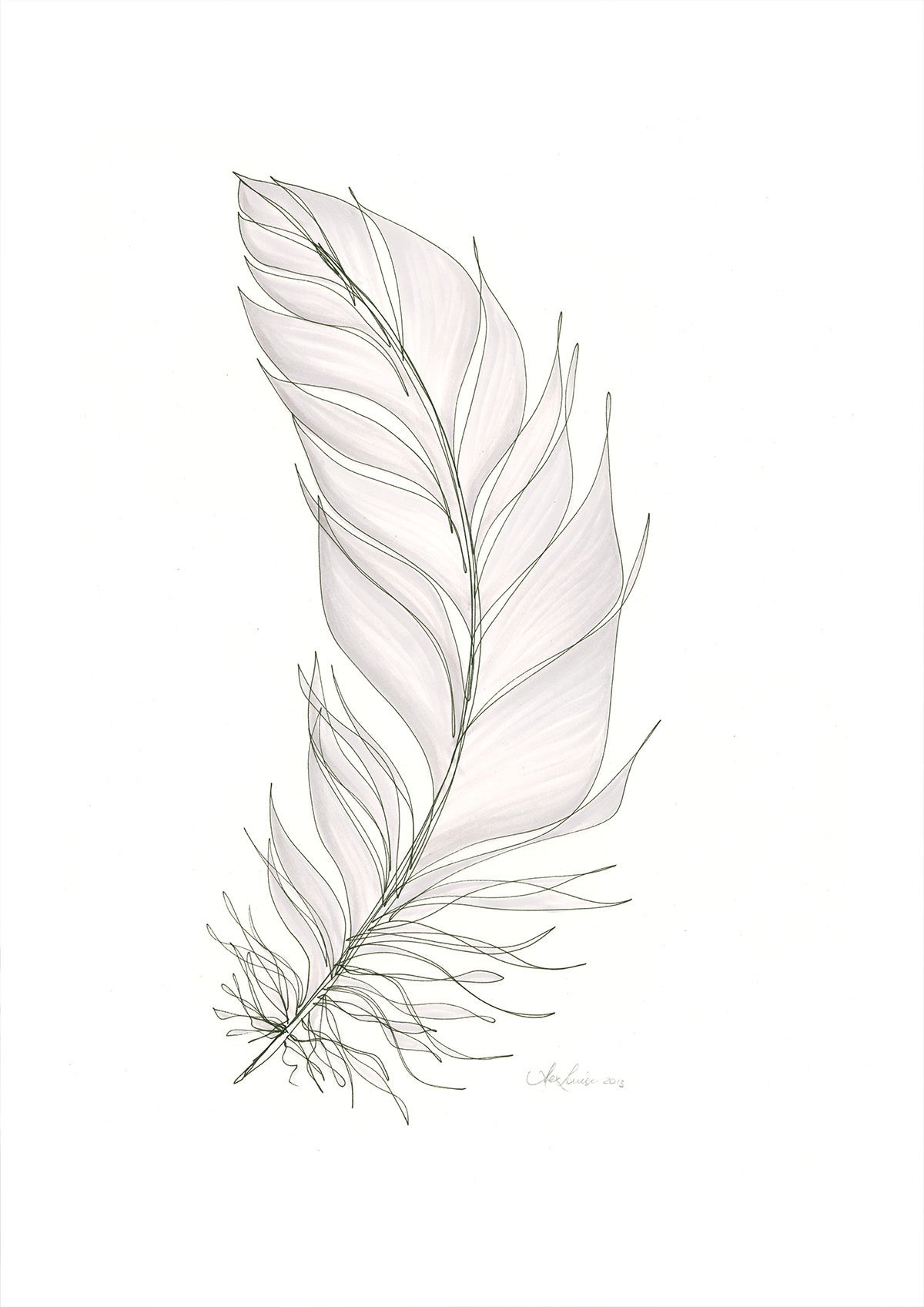 Feather Lines #11 - 12 x 16"