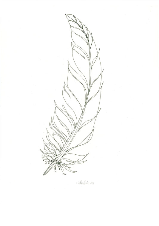 Feather Lines #15 - 12 x 16"