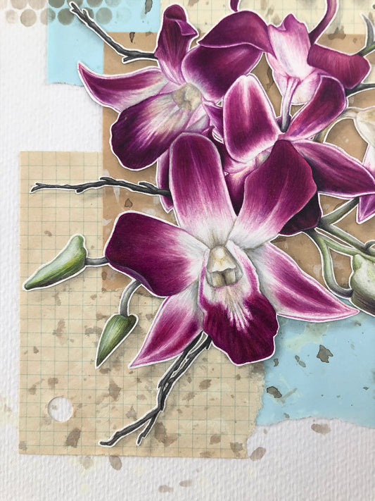 Orchids - 8x10"