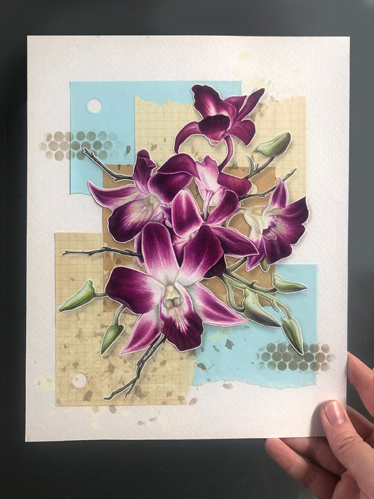 Orchids - 8x10"