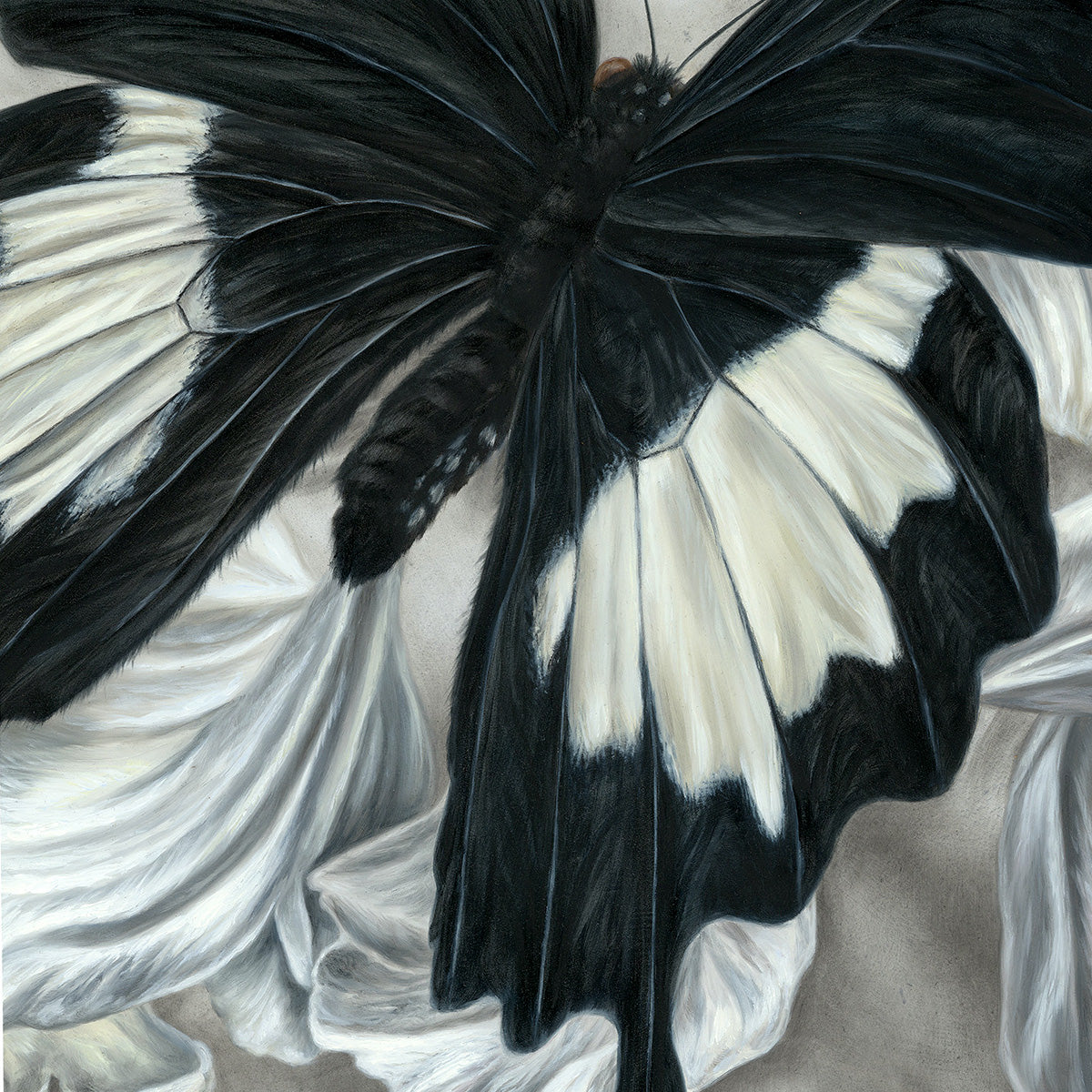 "Wings and Petals #1" - 24 x 24"