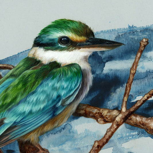 "Sacred Kingfisher" - 10 x 10"