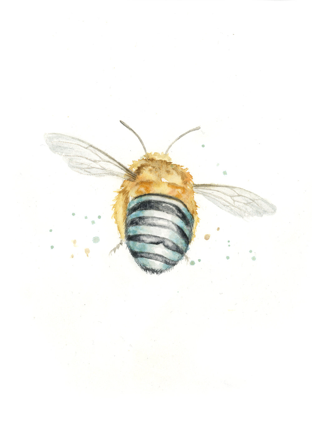Bee #37