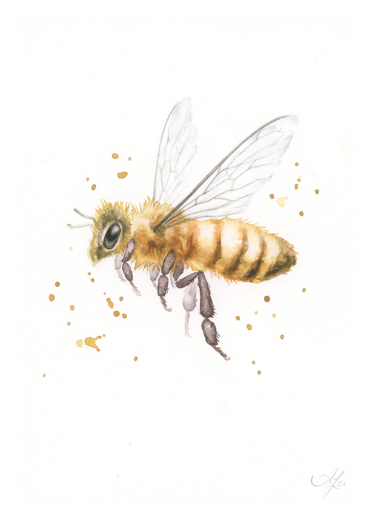 Bee #43