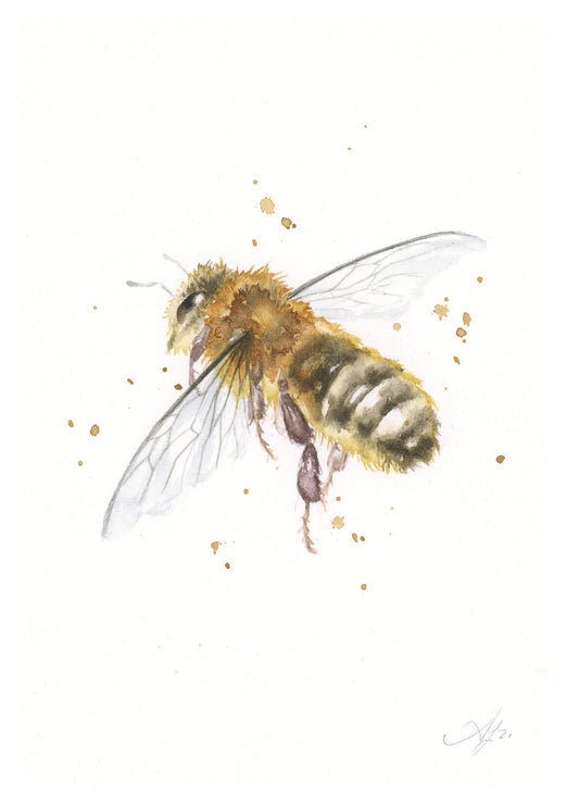 Bee #47