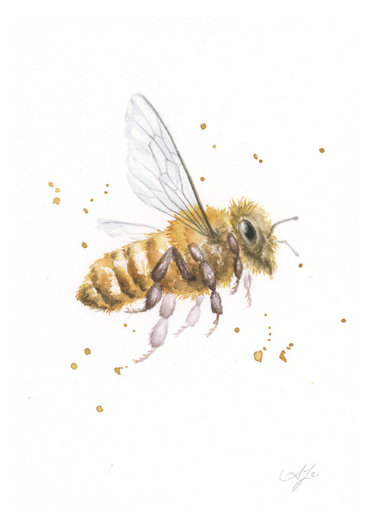 Bee #48