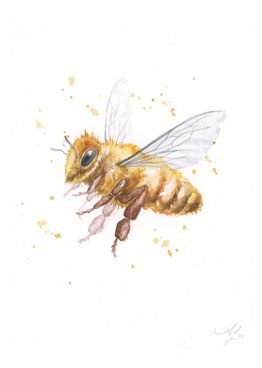 Bee #49