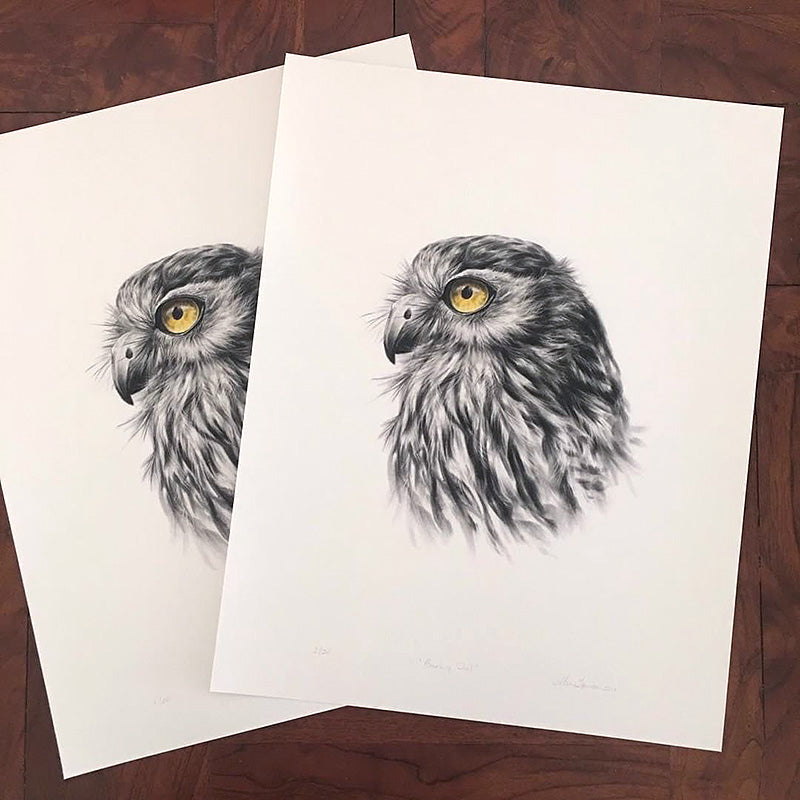 Barking Owl #1 - Limited Edition