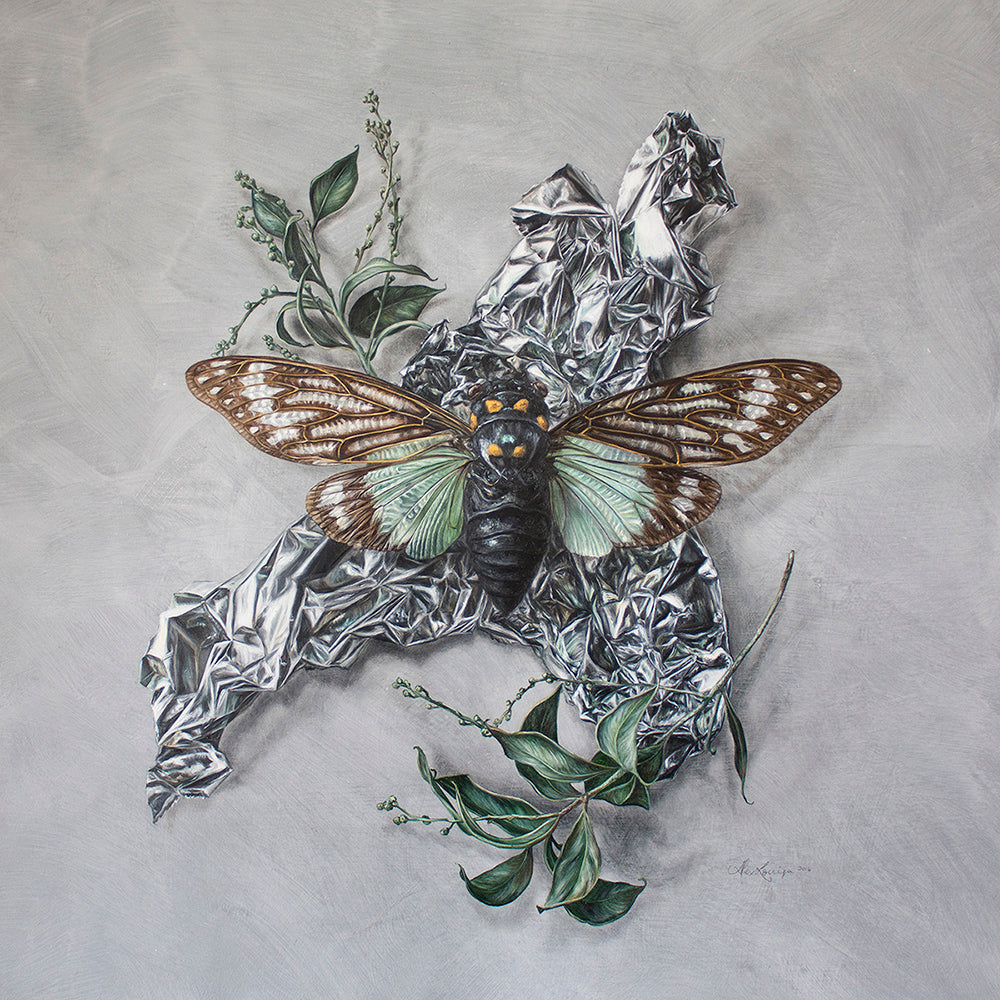 "Cicada and Wattle on Aluminium" - Limited Edition Print