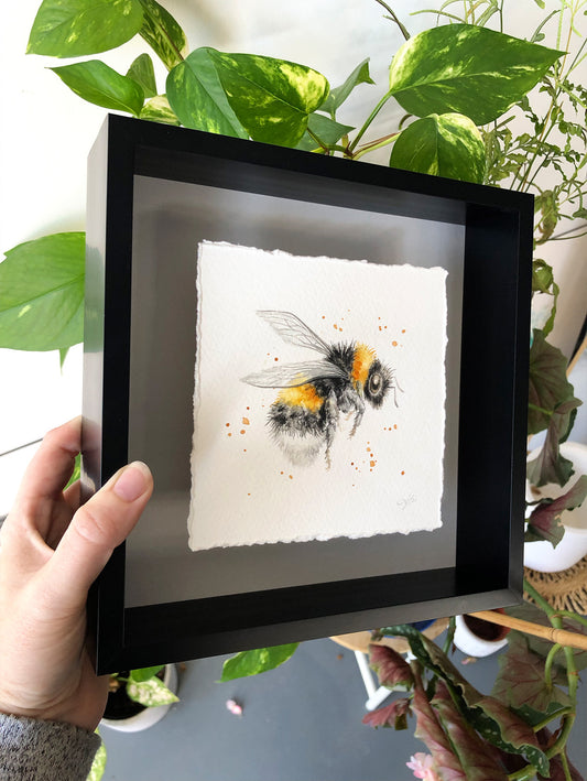 Framed Bumblebee #1