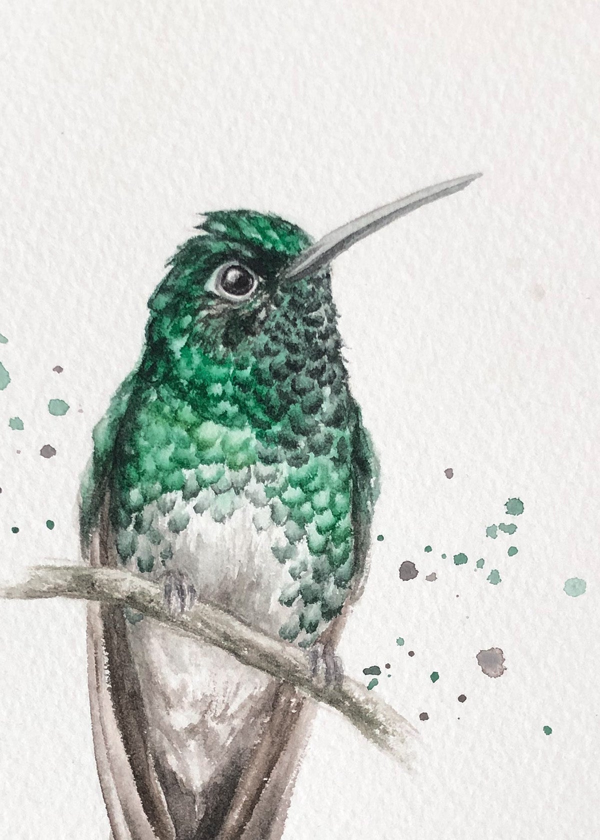 Hummingbird #8