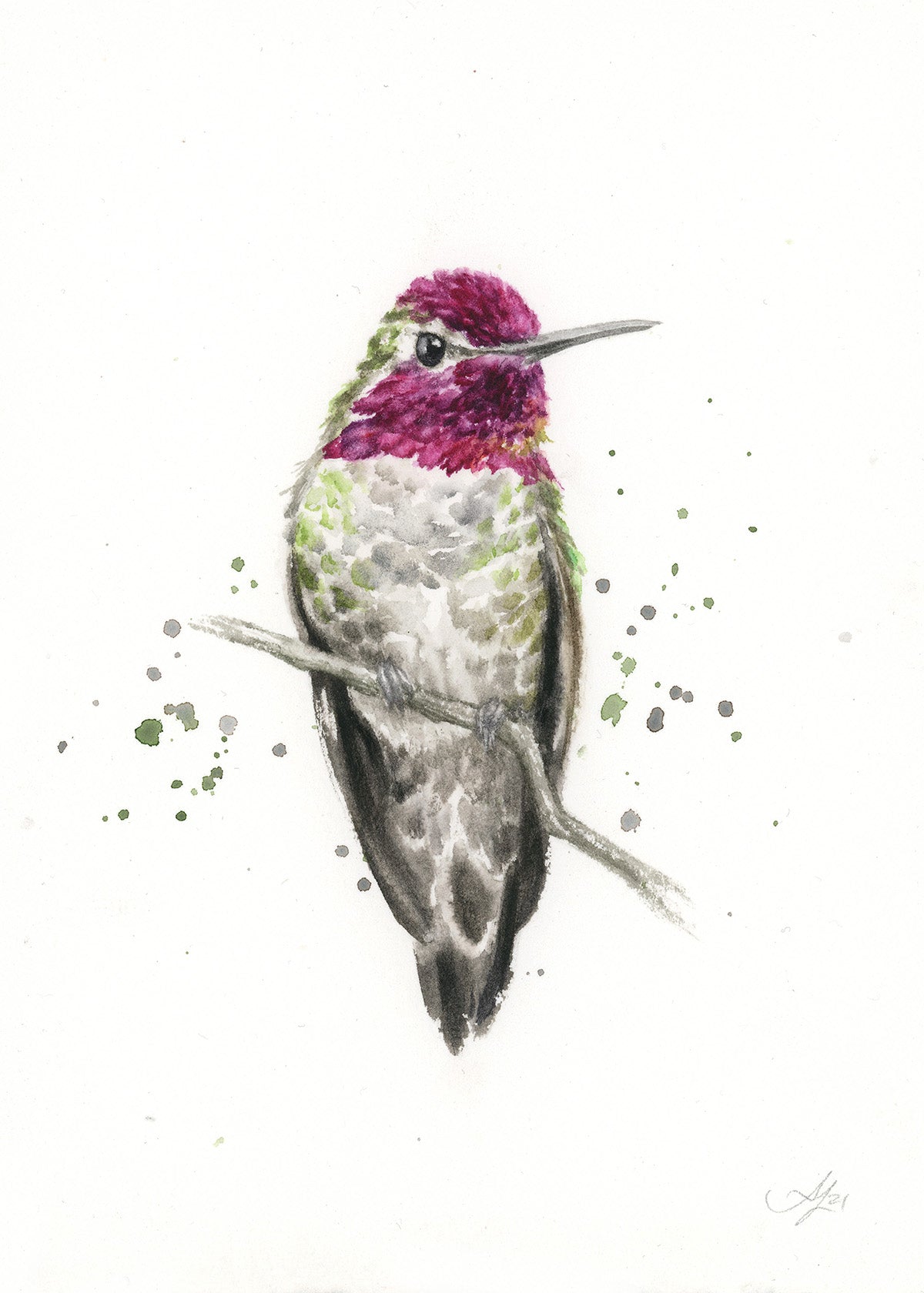 Hummingbird #13