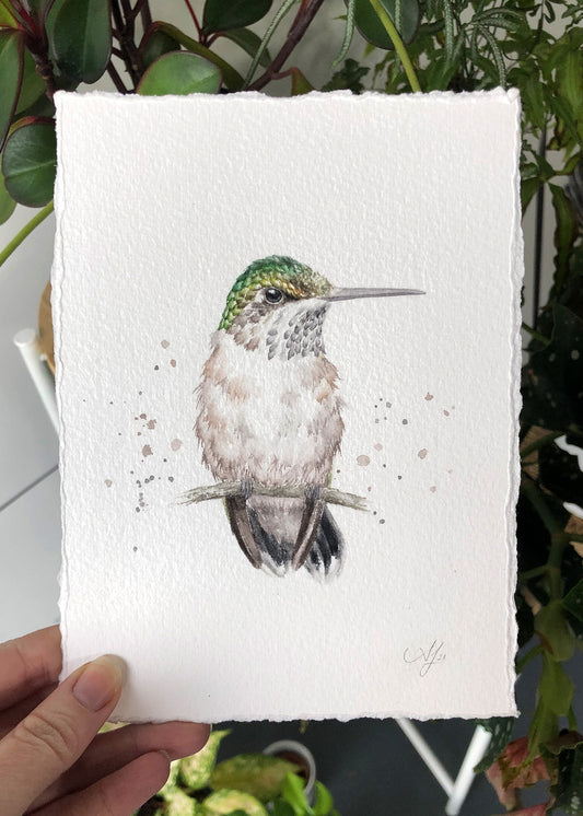 Hummingbird #14