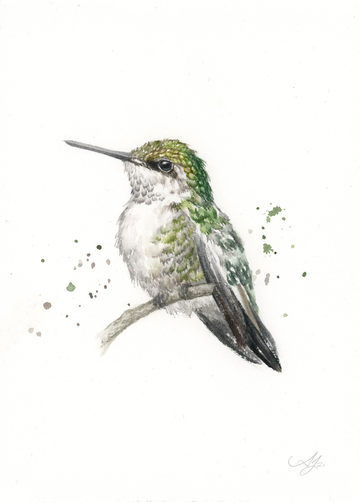 Hummingbird #16