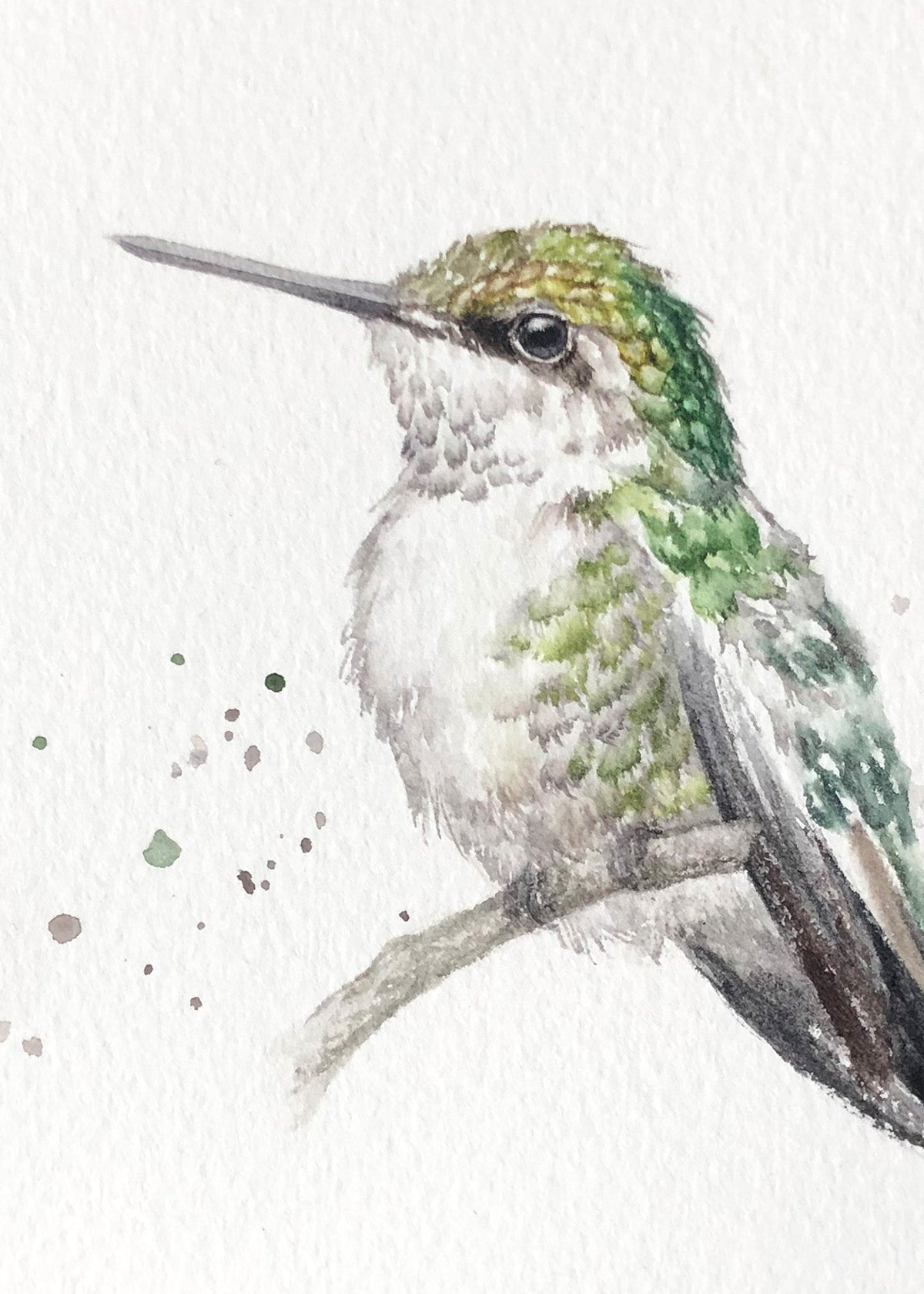 Hummingbird #16
