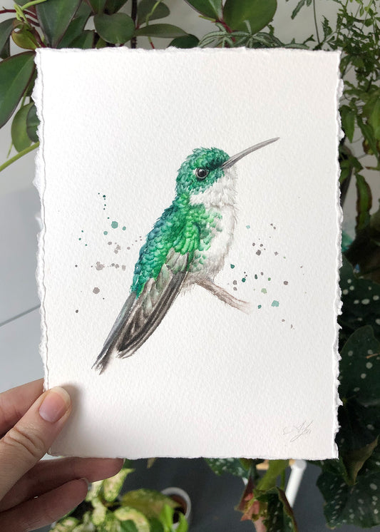 Hummingbird #17