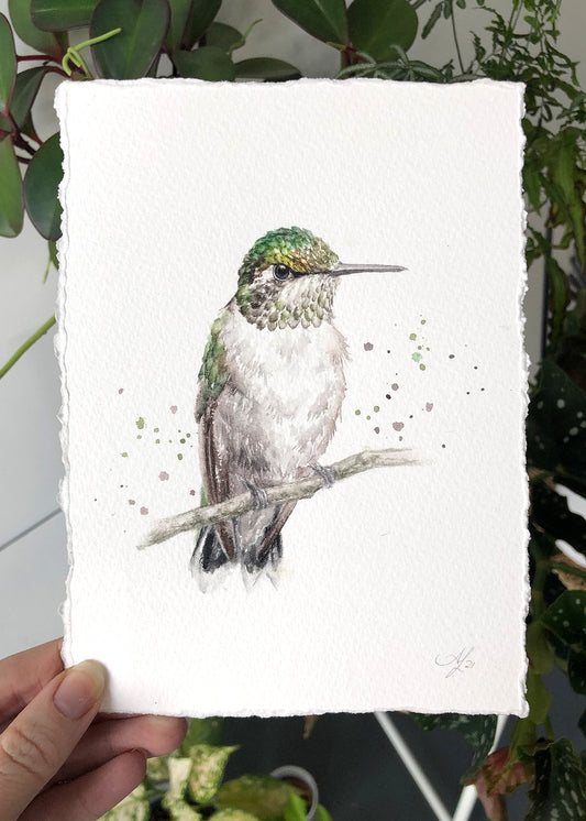 Hummingbird #18