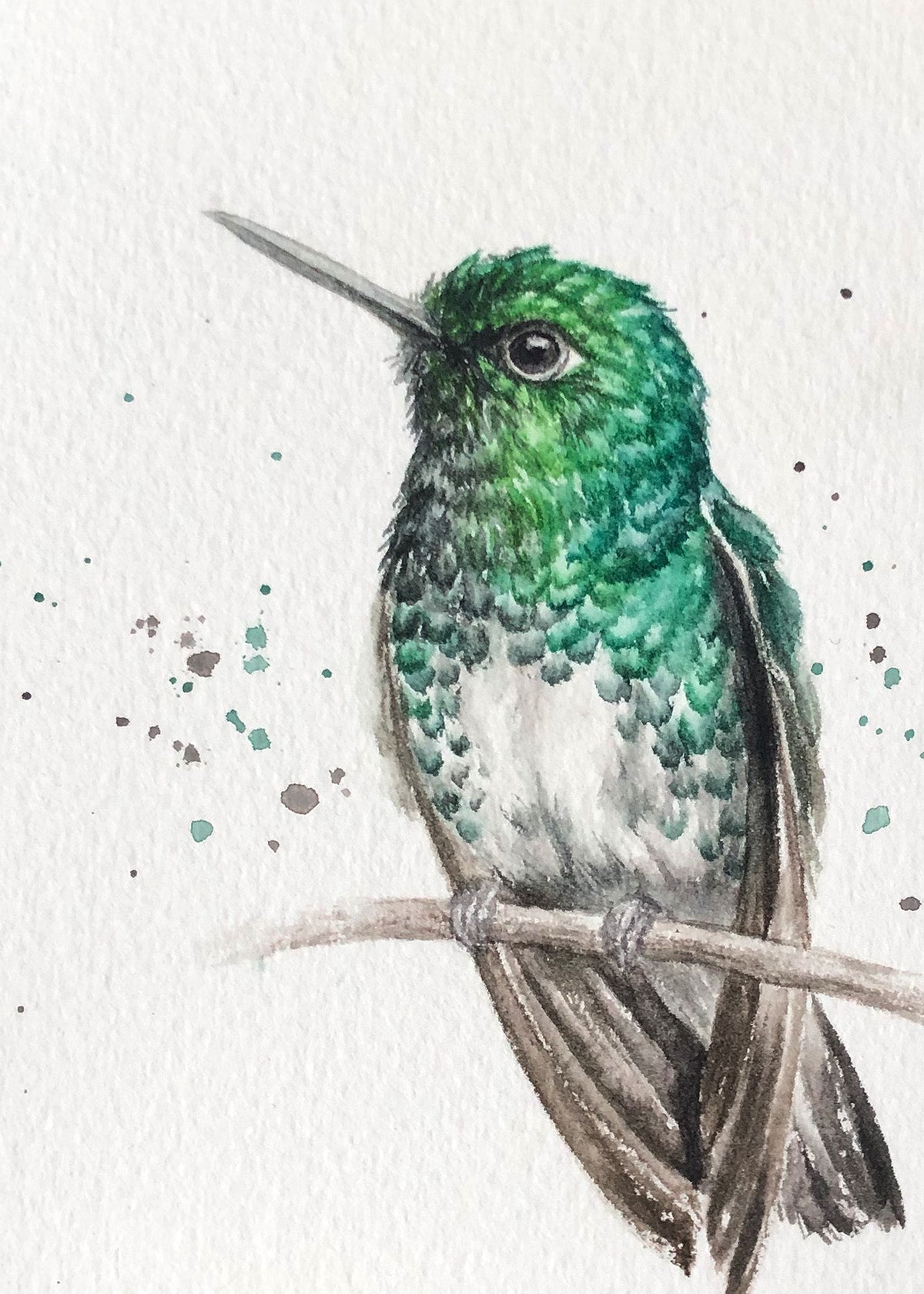 Hummingbird #19