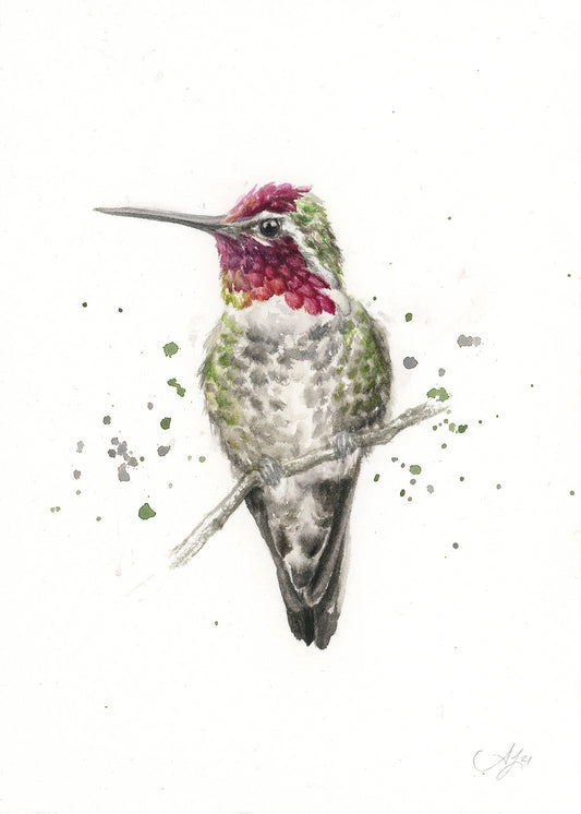 Hummingbird #20