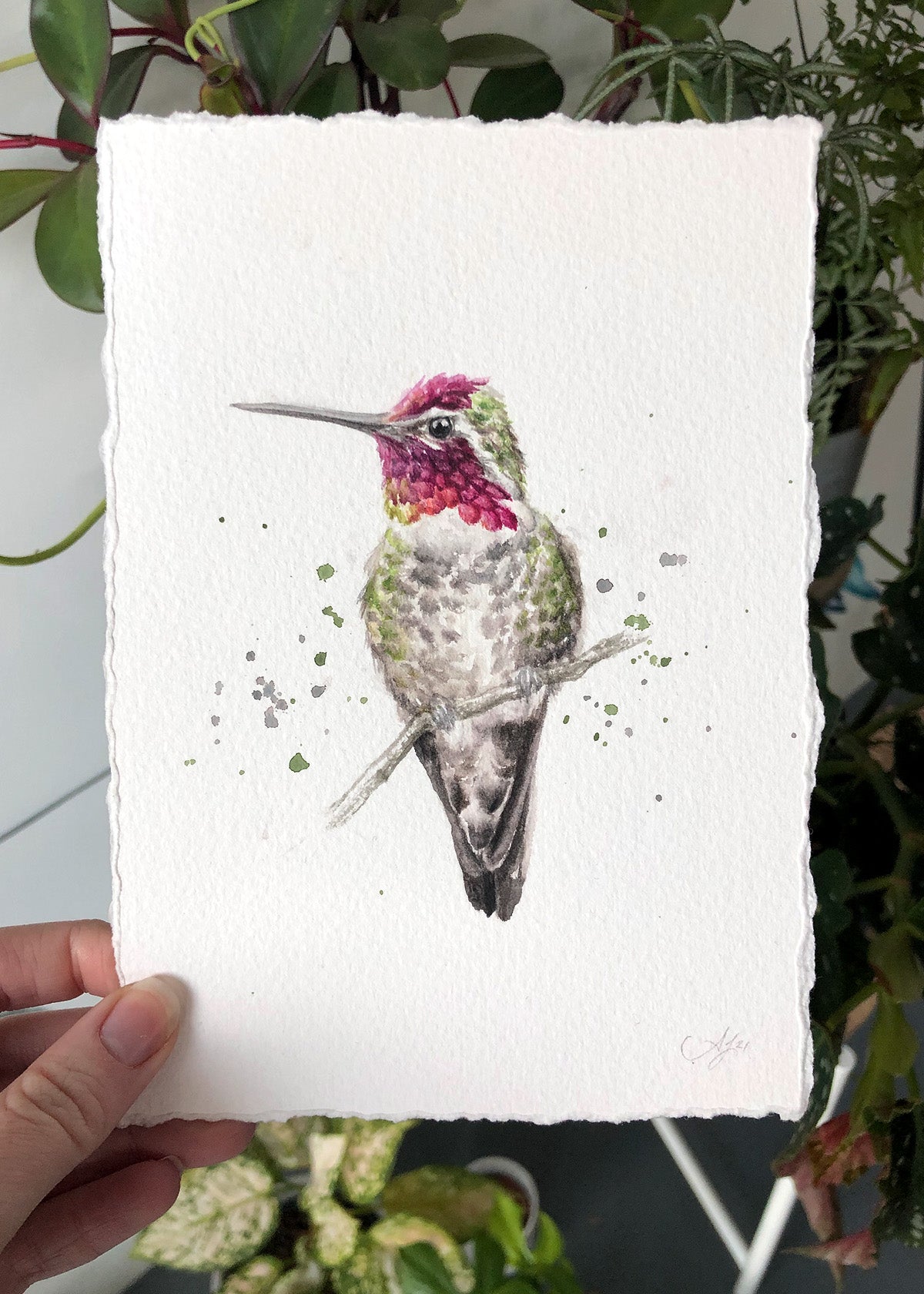 Hummingbird #20