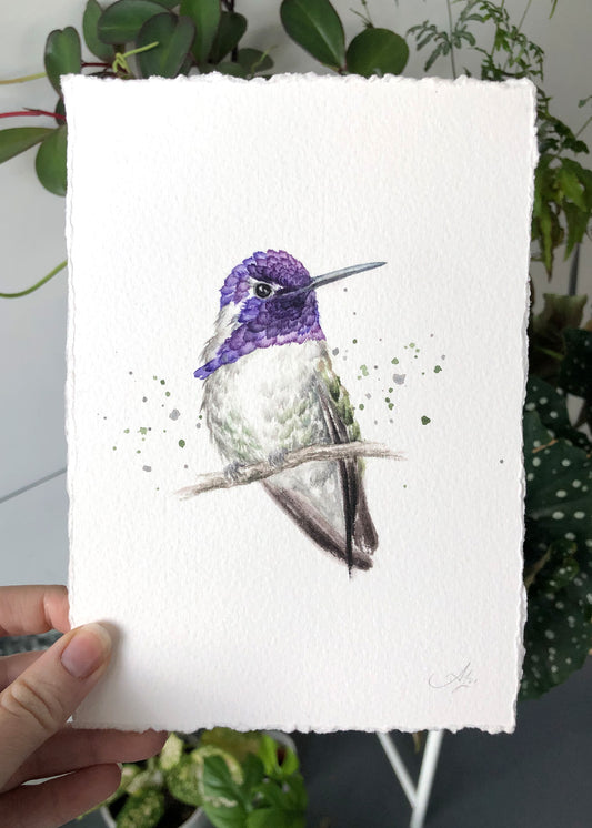 Hummingbird #21