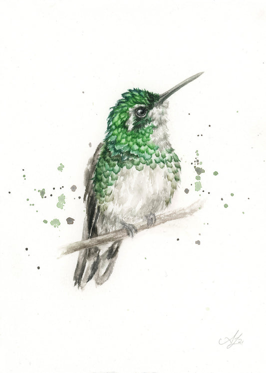 Hummingbird #22