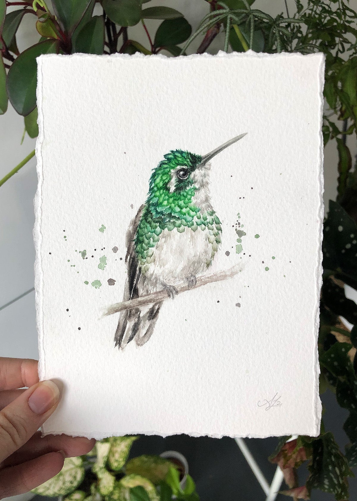 Hummingbird #22