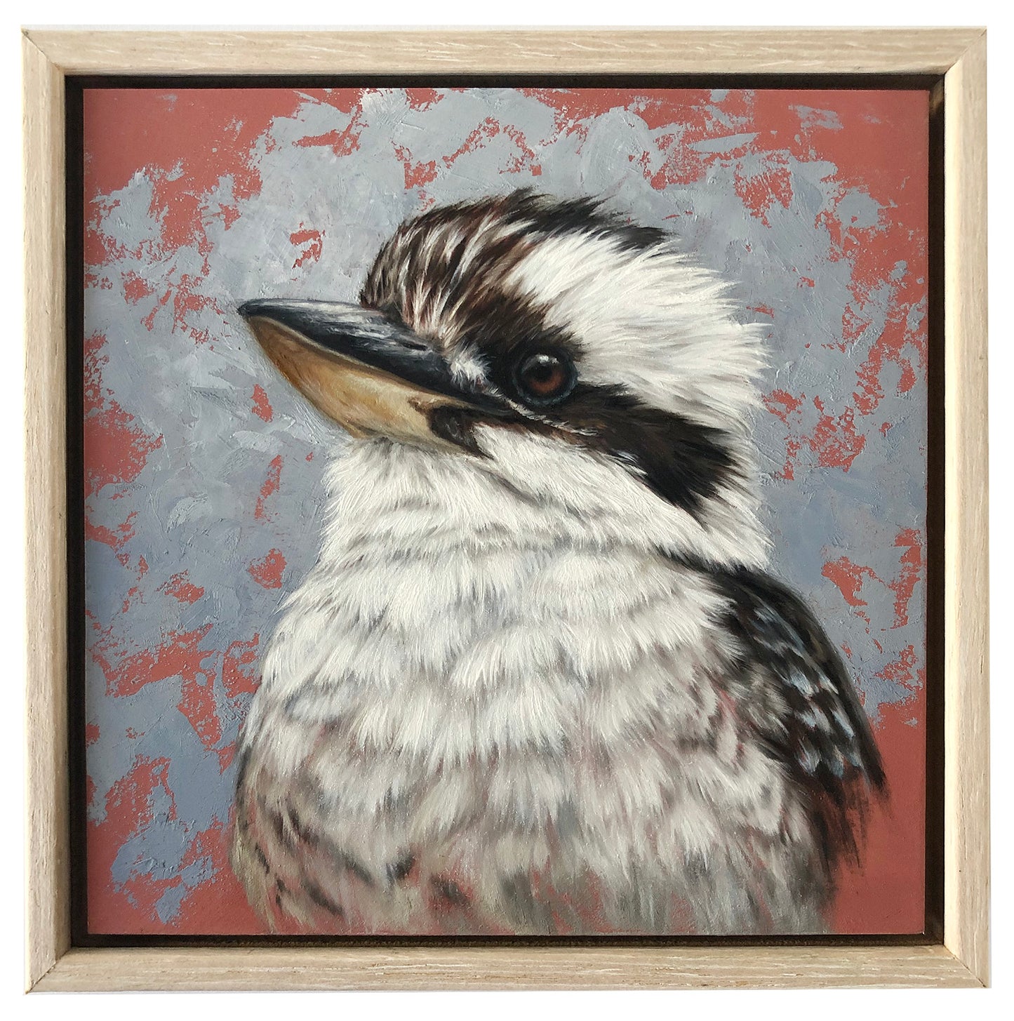 Kookaburra #2