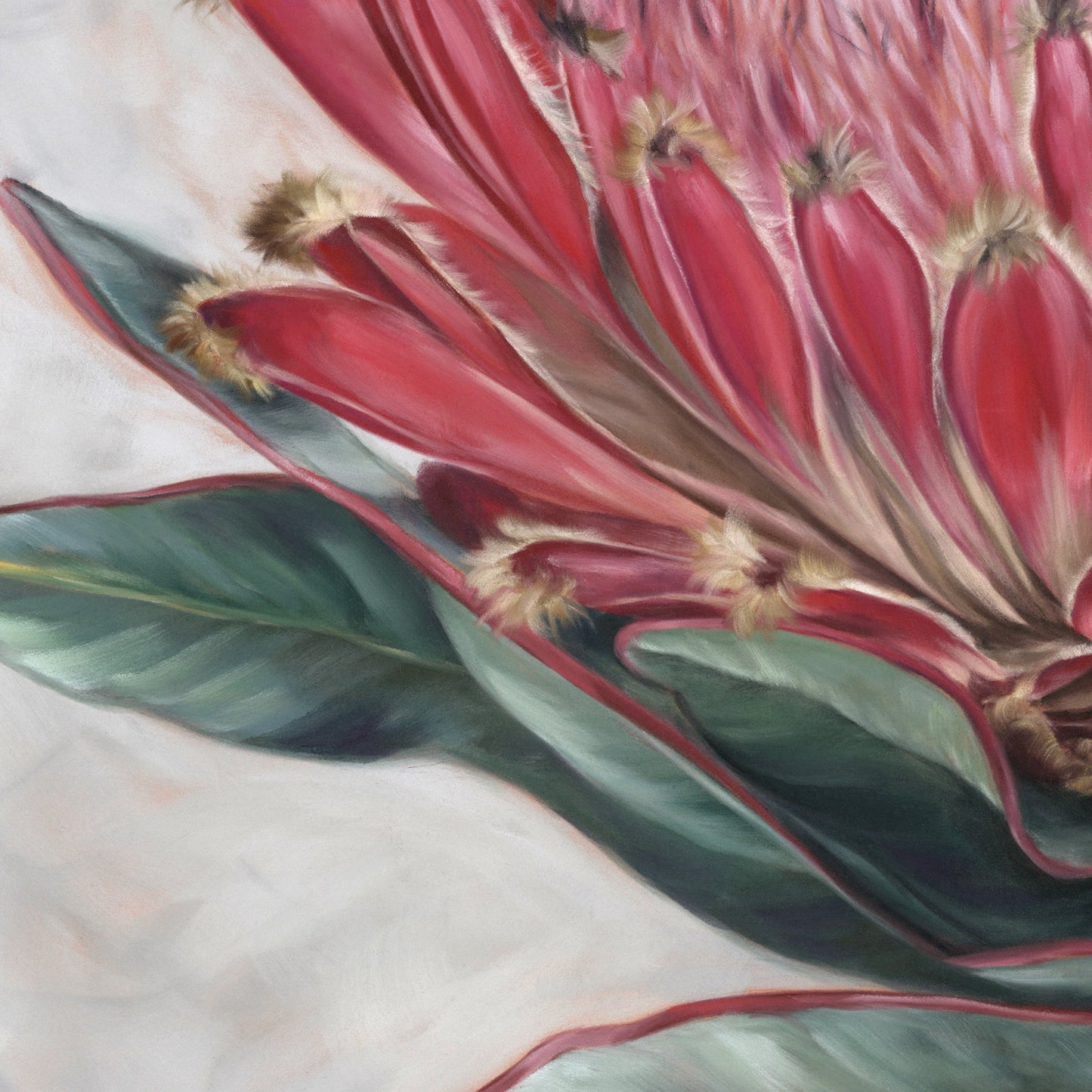 "Protea"