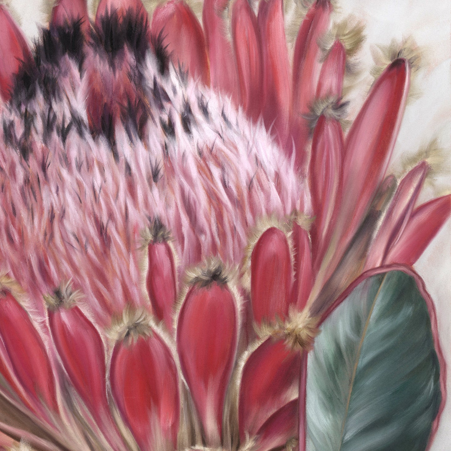 "Protea"