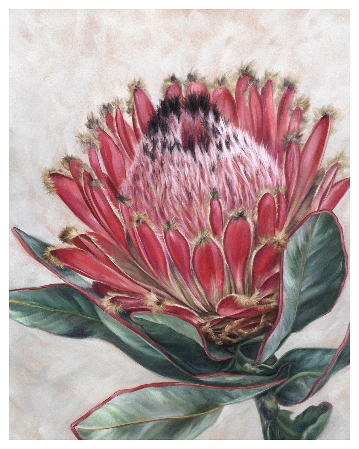 "Protea"