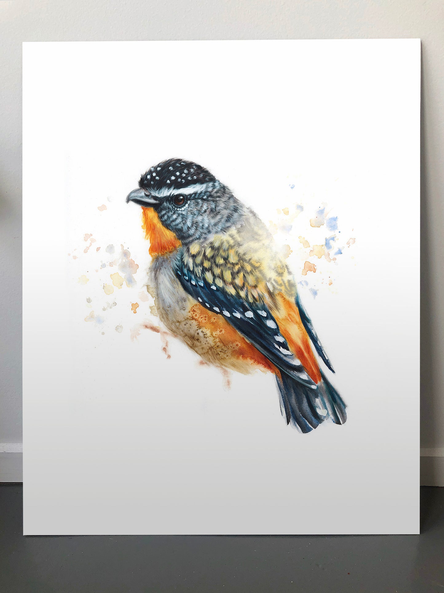 Spotted Pardalote - 16 x 20"